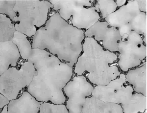 PHOTOGRAPH B – CARBIDES AT GRAIN BOUNDARIES - NOT ACCEPTABLE PHOTOGRAPH B – CARBIDES AT GRAIN BOUNDARIES - NOT ACCEPTABLE